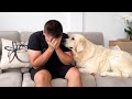 Golden Retriever Reaction to Me Crying [Cutest Video Ever]