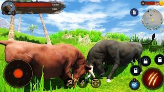 Best Animal Games - The Bull Android Gameplay screenshot 5