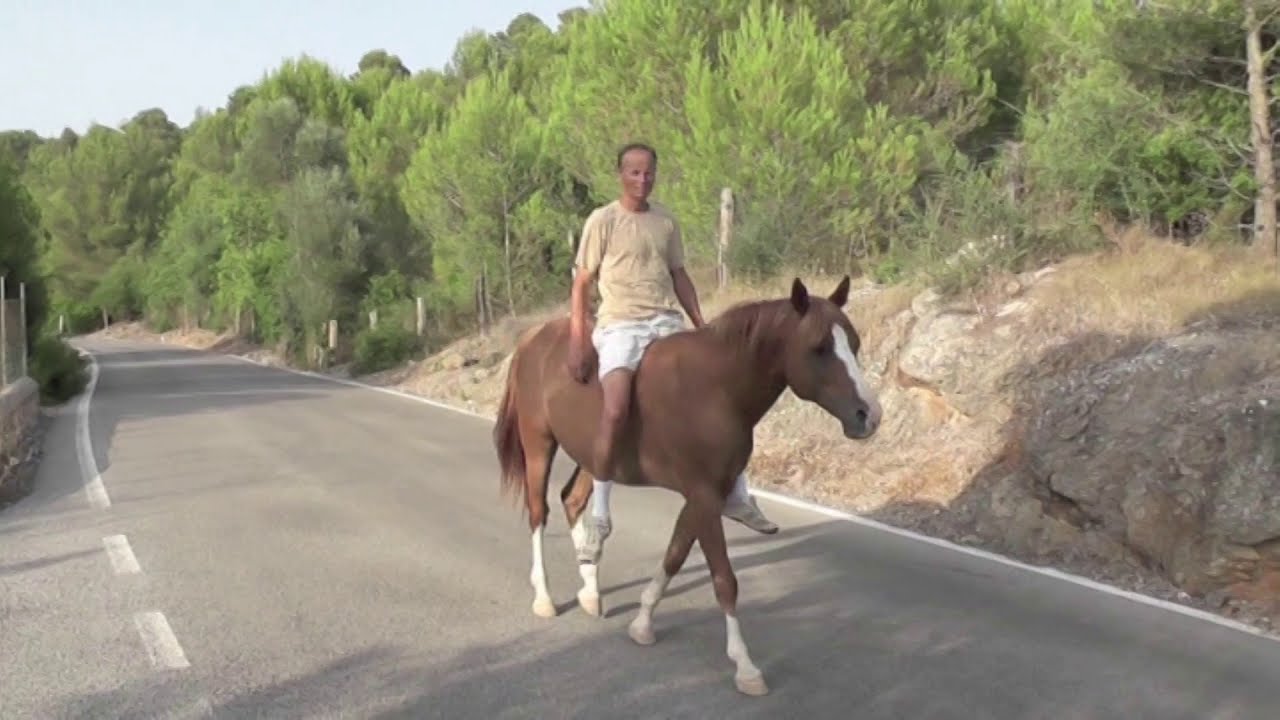 Ausreiten ohne Alles