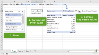 3 Ways to Display (Multiple Items) in a Pivot Table Filter