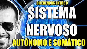 Qual é a função dos gânglios nervosos?