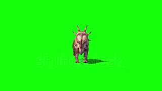 Styracosaurus Green Screen Png