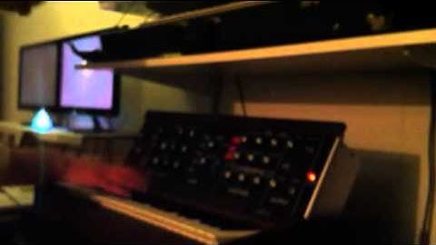 Just an Illusion Mini Moog