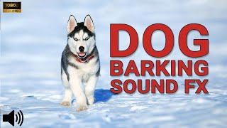DOGS BARKING Free Sound Effects [High Quality] | free to download & use