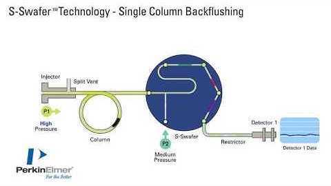 Swafer Single Column Backflushing