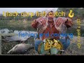 Freshwater fishing 🎣#black carp fish catch#up52.