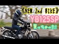 【NEW2】ミニSR400？YB125SPを購入しました。