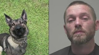 Rookie K-9 makes first arrest: a drug bust