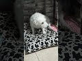 JRT Nano