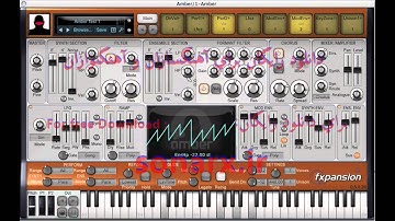 DCAM Synth Squad   An Introduction to Amber new