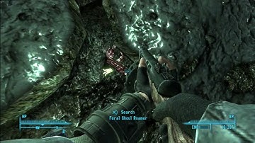 Fallout 3 (117) Point Lookout DLC: Plik