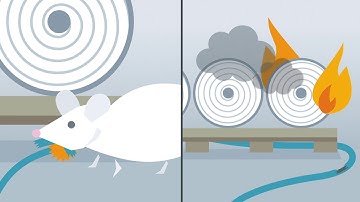 Arc fault detection device (AFDD): Proven and standard-compliant