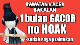 Cara merawat kacer bahan agar cepat gacor