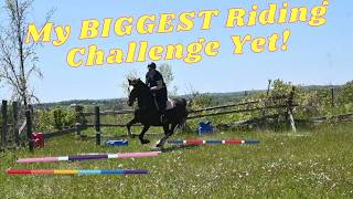 FIRST Time EVER Cantering MY Horse OVER Poles!