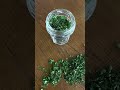 Tips on how to dry your hydroponic herbs- Part 2 | ZipGrow