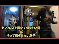 年末に絶対セフィロスを置き逃げしたい母親 vs 絶対持って帰ってほしい息子