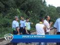 DOLIU LA PETROLUL