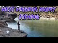 Bank fishing for big west virginia musky ft absoluteunitmedia s4e1