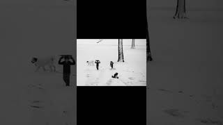 Snow day photo story. Working to document the feeling of being a kid on a snow day. #photography