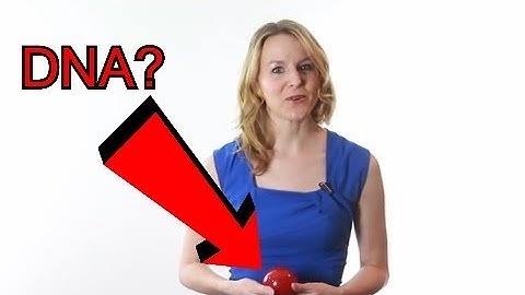 Send Your DNA to the Future to Live Again [Crowdfunded Corruption]