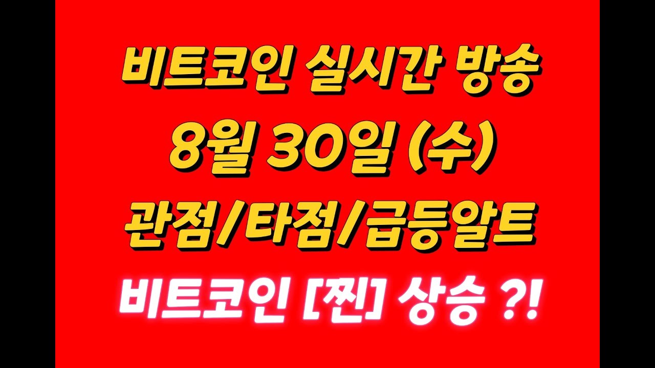 비트코인 찐 상승 ?!/ 라이브 방송 /8월 30일/ 관점/ 타점/ 급등알트