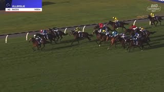 2026 Proisir Plate (G1) | WELL WRITTEN