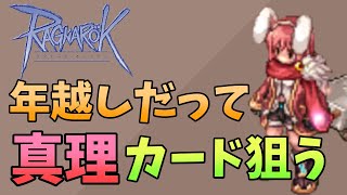 【#RO/Lif】今年最後の配信だああ！！でもいつものことやる！【#vtuber /熊野ばーどん】