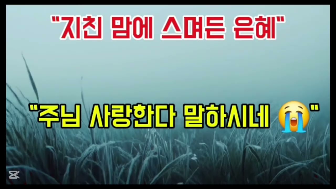 👉 나는 주님만 의지합니다 | 믿음 선포 찬양 모음 | Powerful Worship Playlist | 나의 방패요 #ccm #hillsong #워십 #palylist 