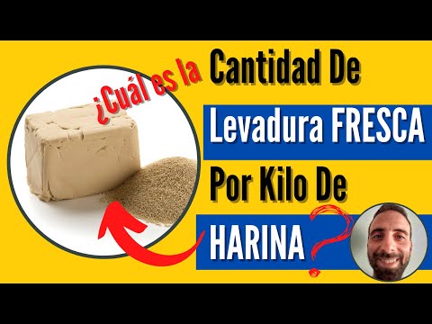 👉 Cantidad De Levadura FRESCA Por Kilo De HARINA