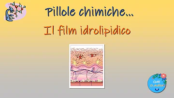 Quali sono le funzioni del film idrolipidico?