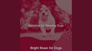 Simplistic Backdrops for Doggies