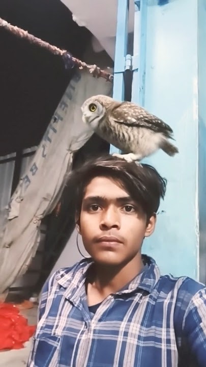 #dj #remix #funk #bome #funny #playlist