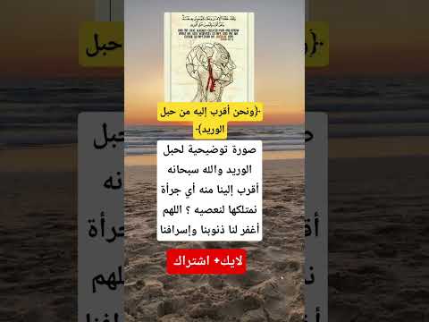 صورة توضيحية لحبل الوريد والله سبحانه أقرب إلينا منه أي جرأة نمتلكها لنعصيه