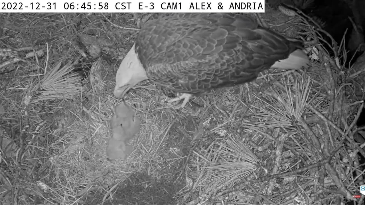 Kisatchie National Forest E3 31.12.2022 0635 YouTube