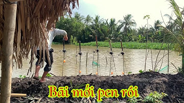 Câu Cá Tra Sông | Bãi Câu Mới Đẹp Cá Ục Thấy Mê Dị À | Fishing Miền Tây
