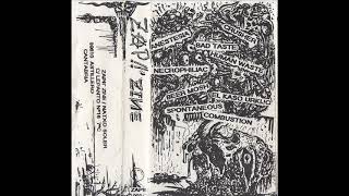 11 - HUMAN WASTE (TARRAGONA) - Beauty also rots (ZAP!!'ZINE, 1992)