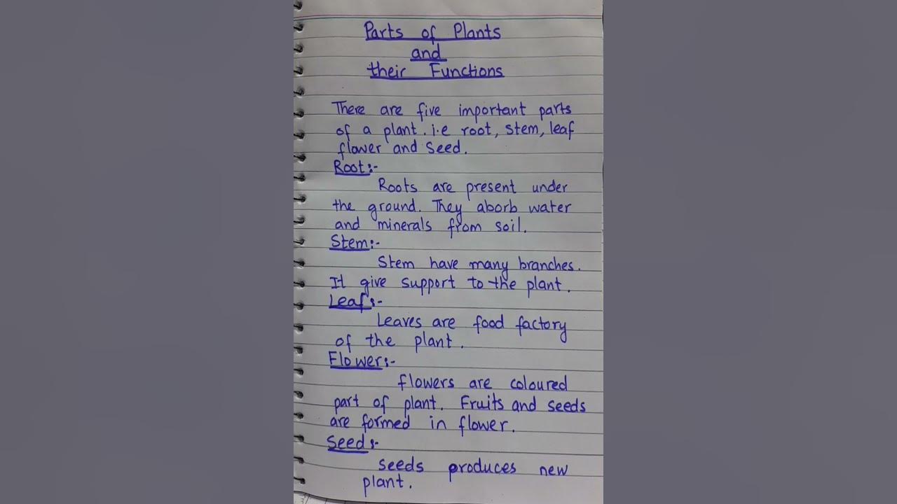 Parts of plant |functions |#science #shorts #viralshorts