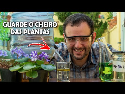 Vídeo: Qual A Melhor Forma De Capturar O Cheiro