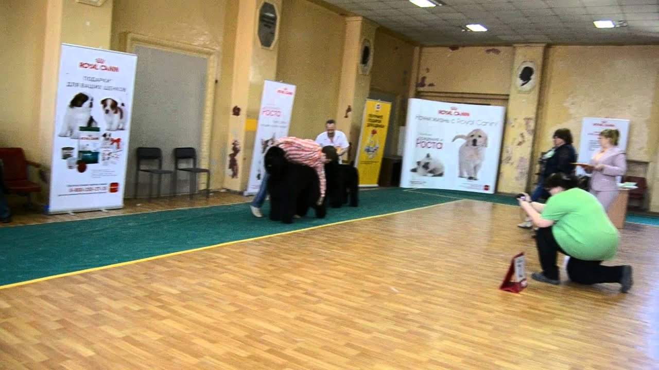 DSC 0866 - YouTube