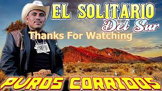 El solitario Del Sur || Las Mejores Canciones || Corridos y Rancheras || Mix Para Pistear