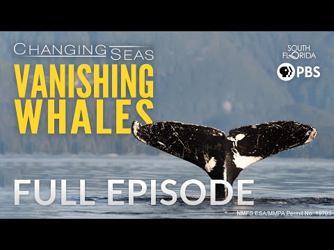 Vanishing Whales - Full Episode