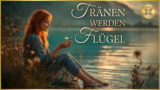 Libelle Tanz Des Lichts Leichtigkeit Im Leben, Wandlung Vertrauen 432 Hz Krafttier Libelle
