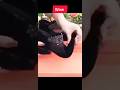 trendy sandals for girls #highheel #girlssandals#shortvideo