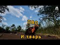Маленькая тварюга в игре The isle evrima