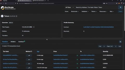 How to buy SRG20 tokens on BSCScan / Etherscan