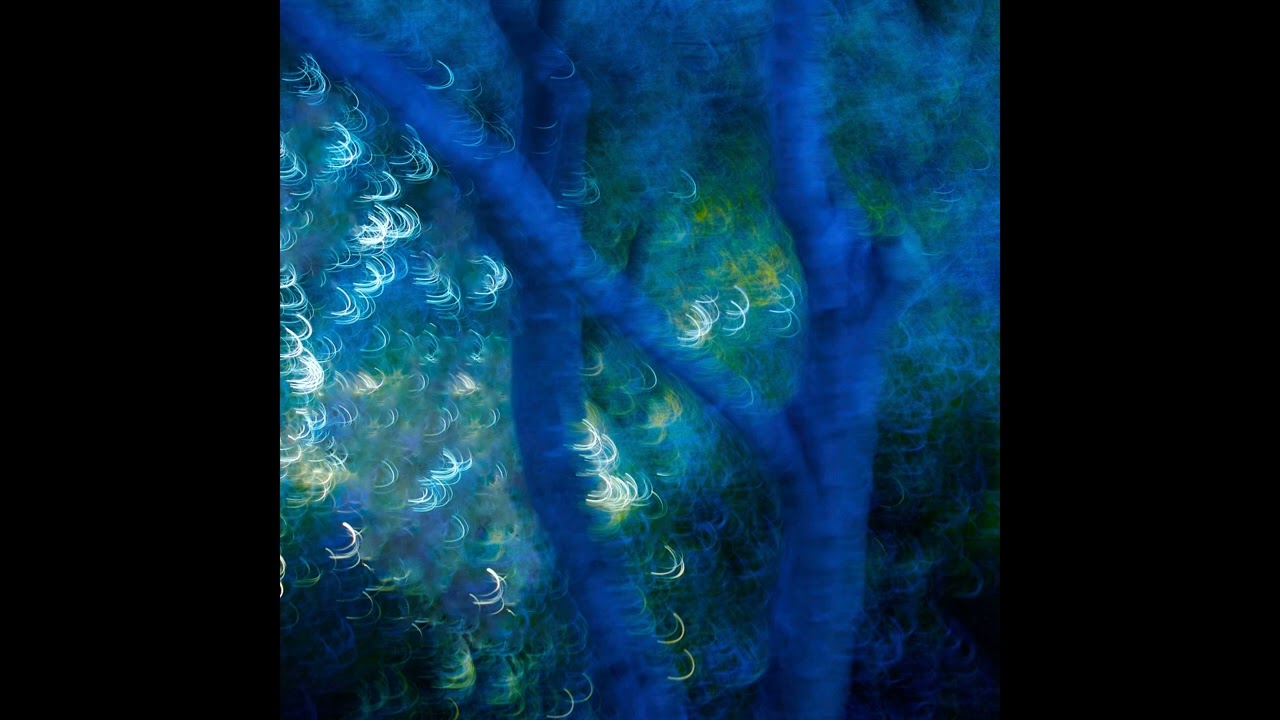 Aria Rostami - Siren (2023)