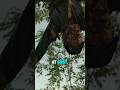 “You’re Not Safe… They Already Know You 😳” #shorts #horror #viral #fromseries #filmsnap