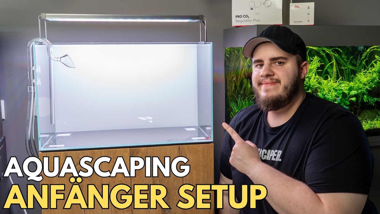 Das perfekte Aquascaping-Setup unter 1000€ für Anfänger!