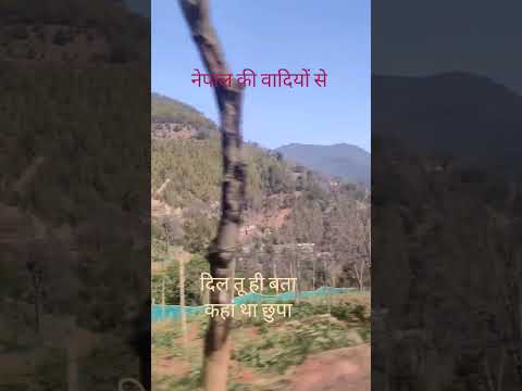 दिल तू ही बता कहां था छुपा #alishachinoy#jubingarg#melody #beatifulvoice #short #shortsfeed#ytshorts