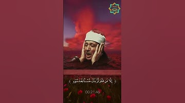 تلاوة خاشعة تهز القلوب للصوت الباكي عبد الباسط عبد الصمد